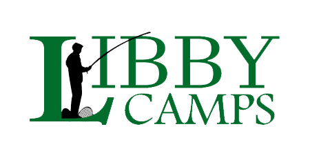 https://www.libbycamps.com