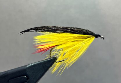 HMH Bar Fly Series Tying Event Ticket Hobbs Tap Room  Sunday February 2, 2025 12:30 -3:00pm - Image 3